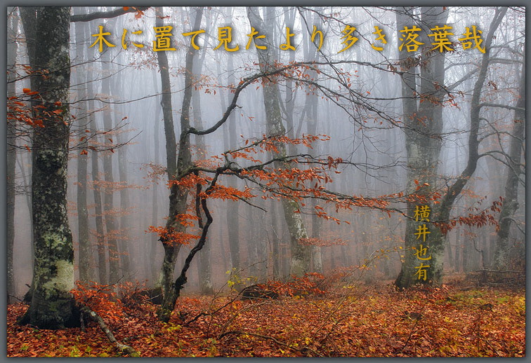 Дело об опавших листьях.. О гениальном танко