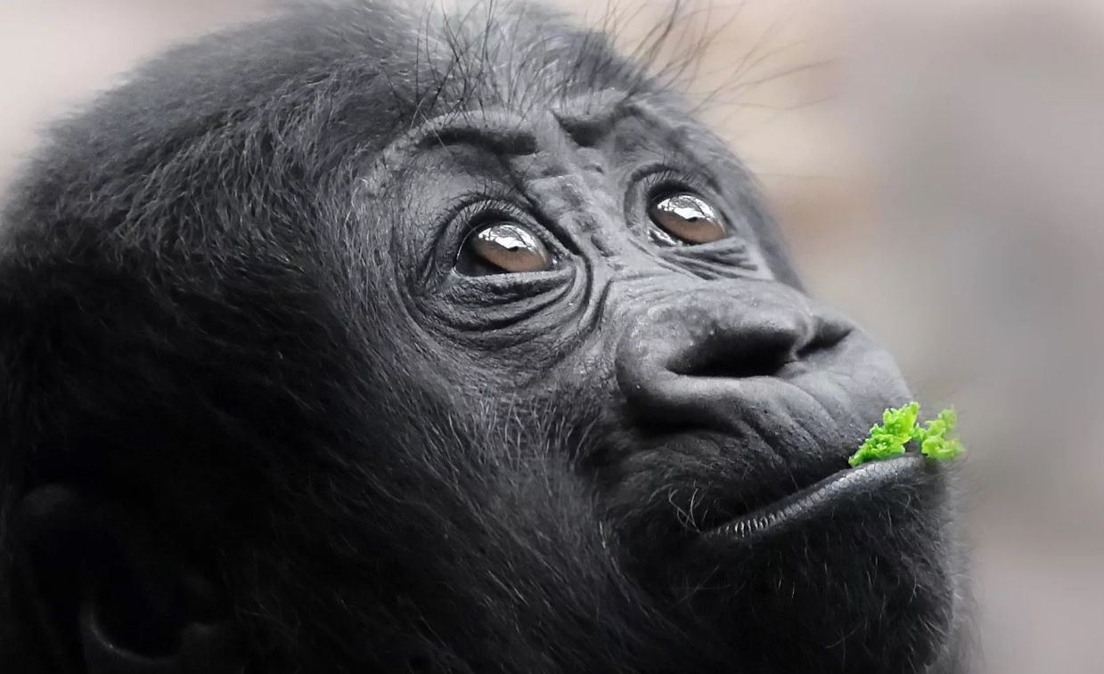 Стих про внимание