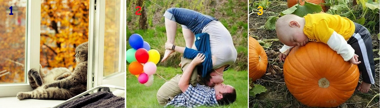 А у нас сегодня кошка...