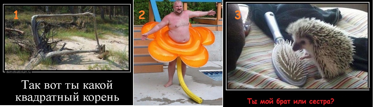 Занимательная математика