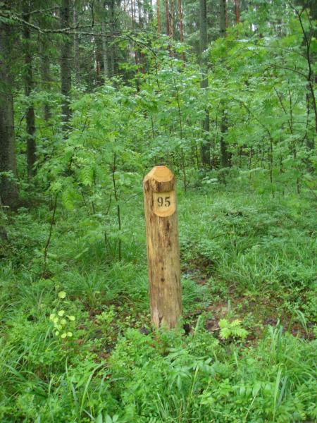 Таёжные были и небылицы