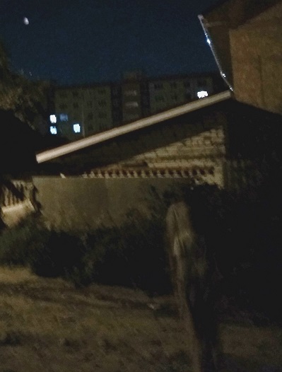 Случайный снимок