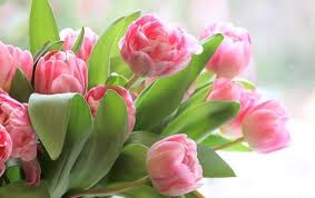 С Праздником