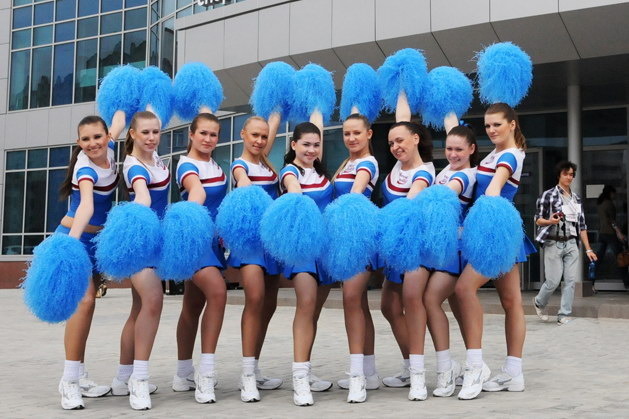 Пипидастры