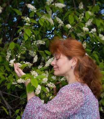 А сказка останется