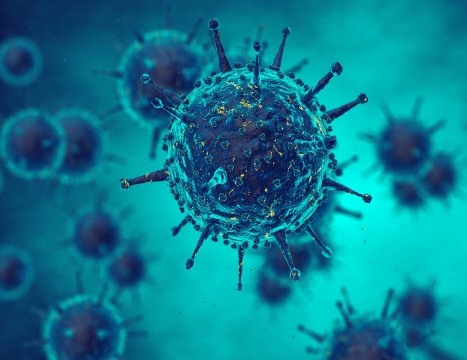 На злобу дня