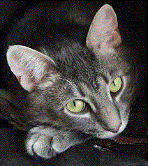 Наш любимый Кузя