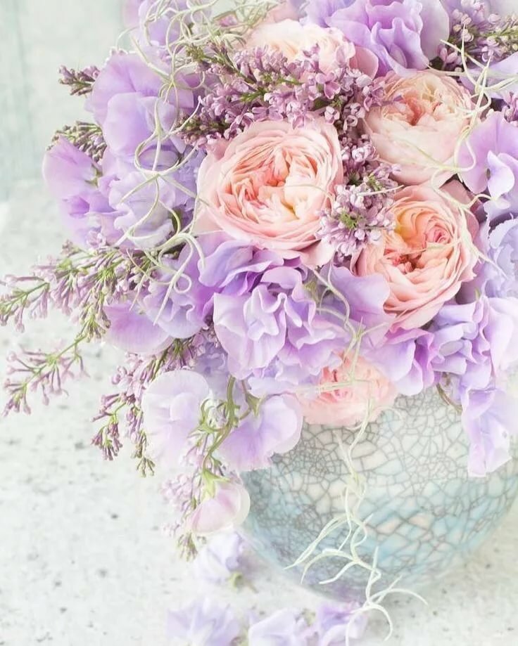 Цвети, как роза ты...