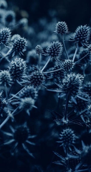 Детдомовцы