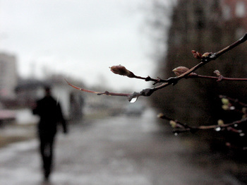 Унылая весенняя пора