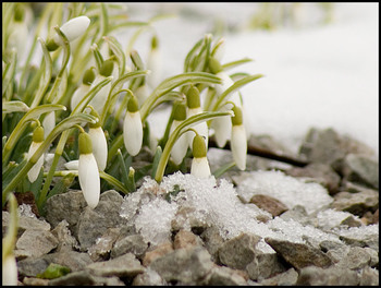 Предапрельское