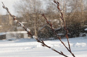 Всё справедливо, хоть и грустно, под Луной