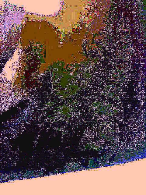 Любовь и память