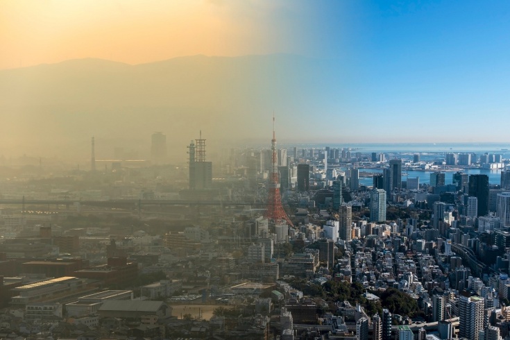 Венец творенья