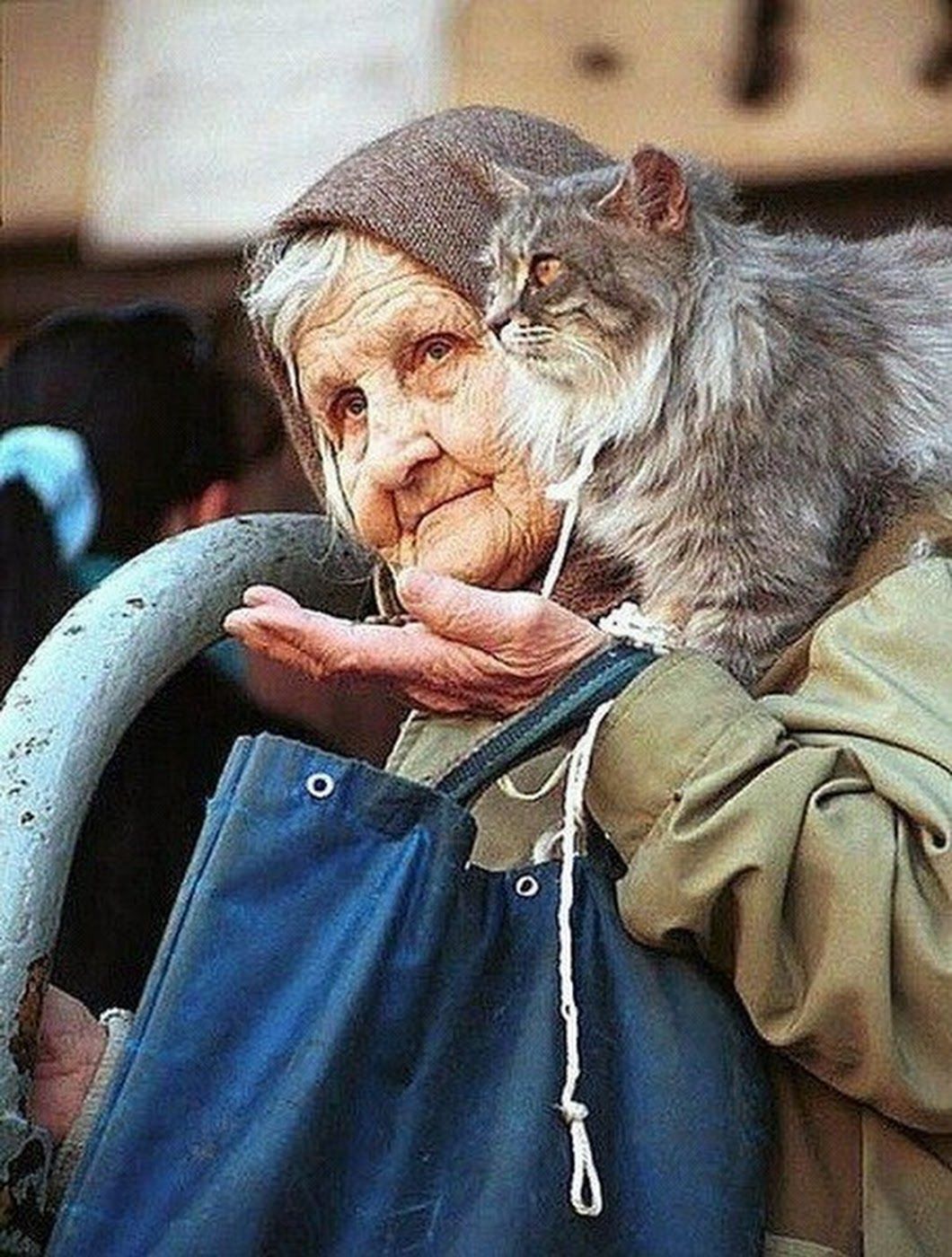 Бабушка с кошкой