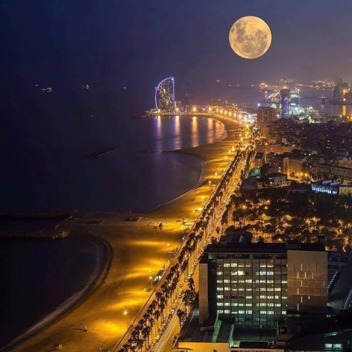 Город мечты