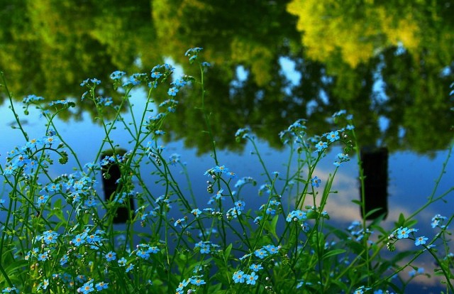 Любовь всегда права