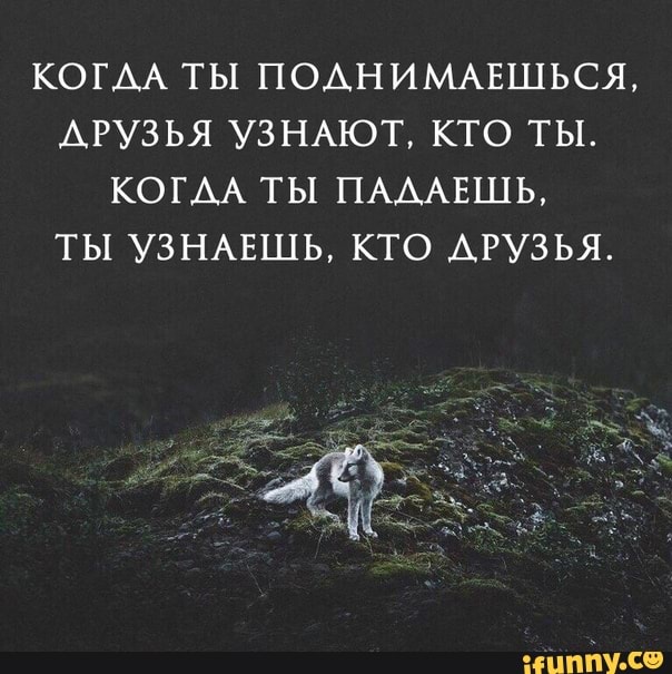 упал поднимайся картинки питание