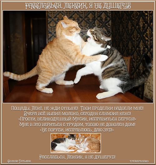 Расслабься, Лексик, я не душегуб