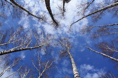 Март готовится к исходу