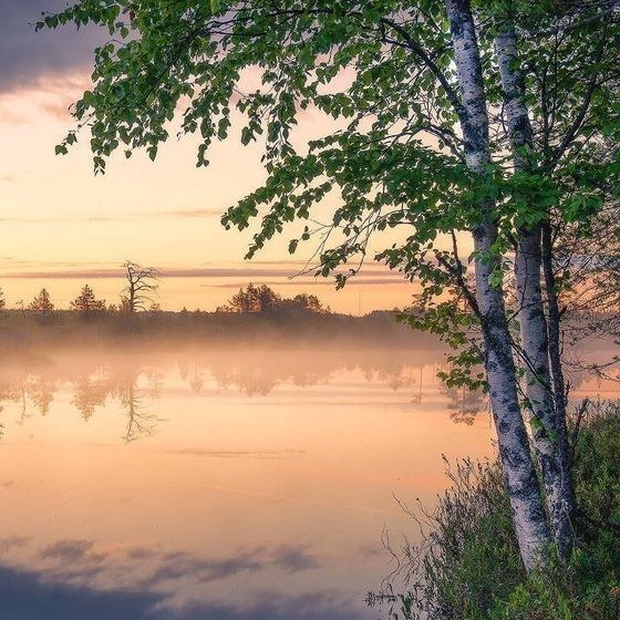 Бог дал нам все - цветы, деревья, горы