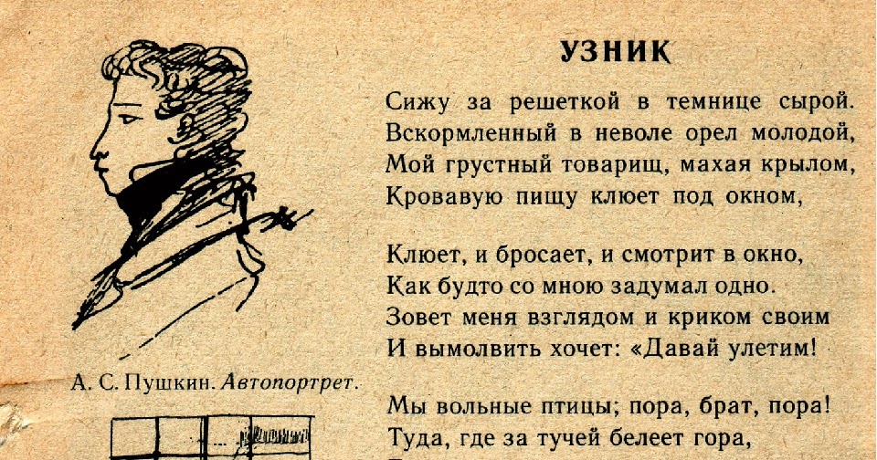 Щеки в поэзии 6. Узник Пушкина.