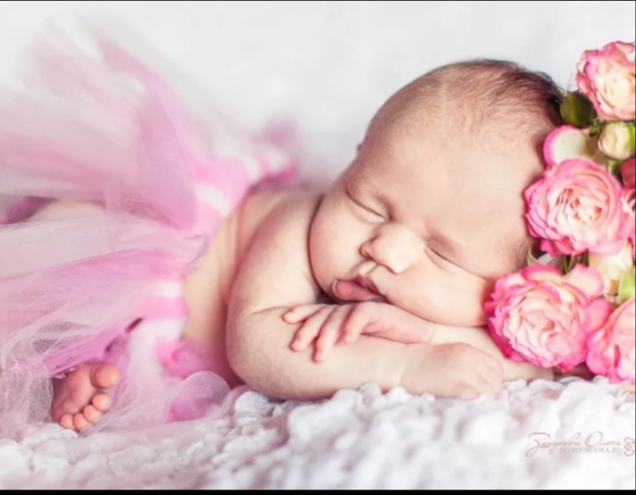 291а. Правнуки - это счастье