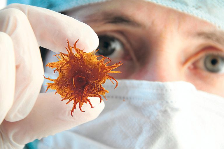 Корона, которая - вирус