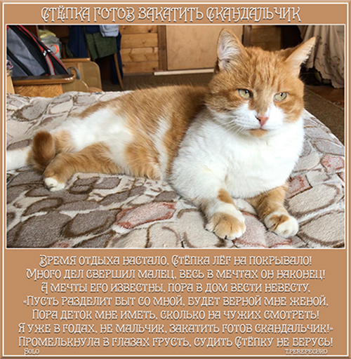 Стёпка готов закатить скандальчик