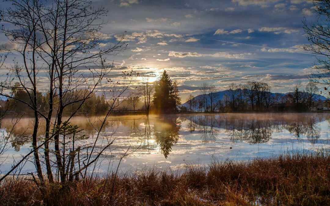 Какое чудо, это утро!