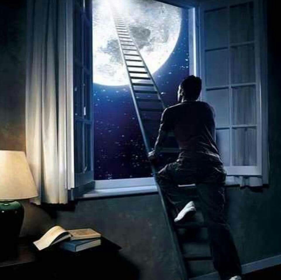 На карантине