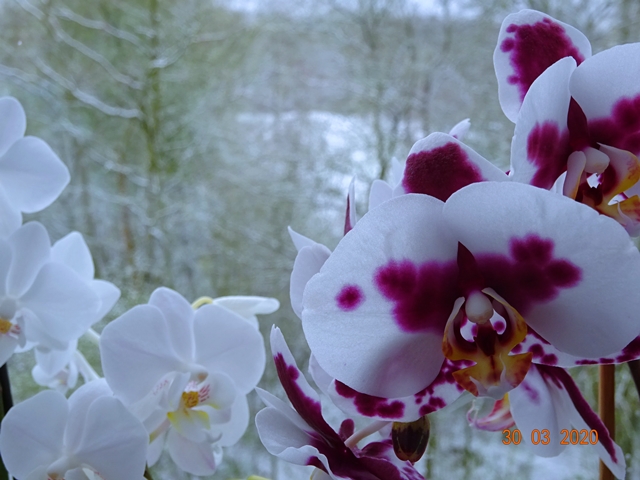 Всему на свете - своё время