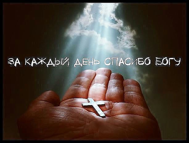 Цените и то, и другое
