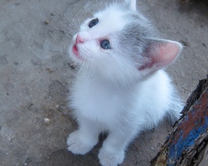 Ведь не вернуть былую радость...