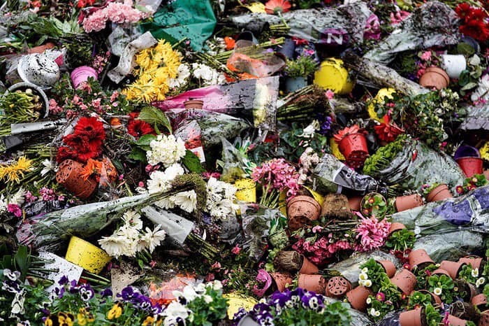 Судьба цветов