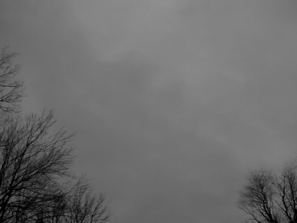 Самоизоляция