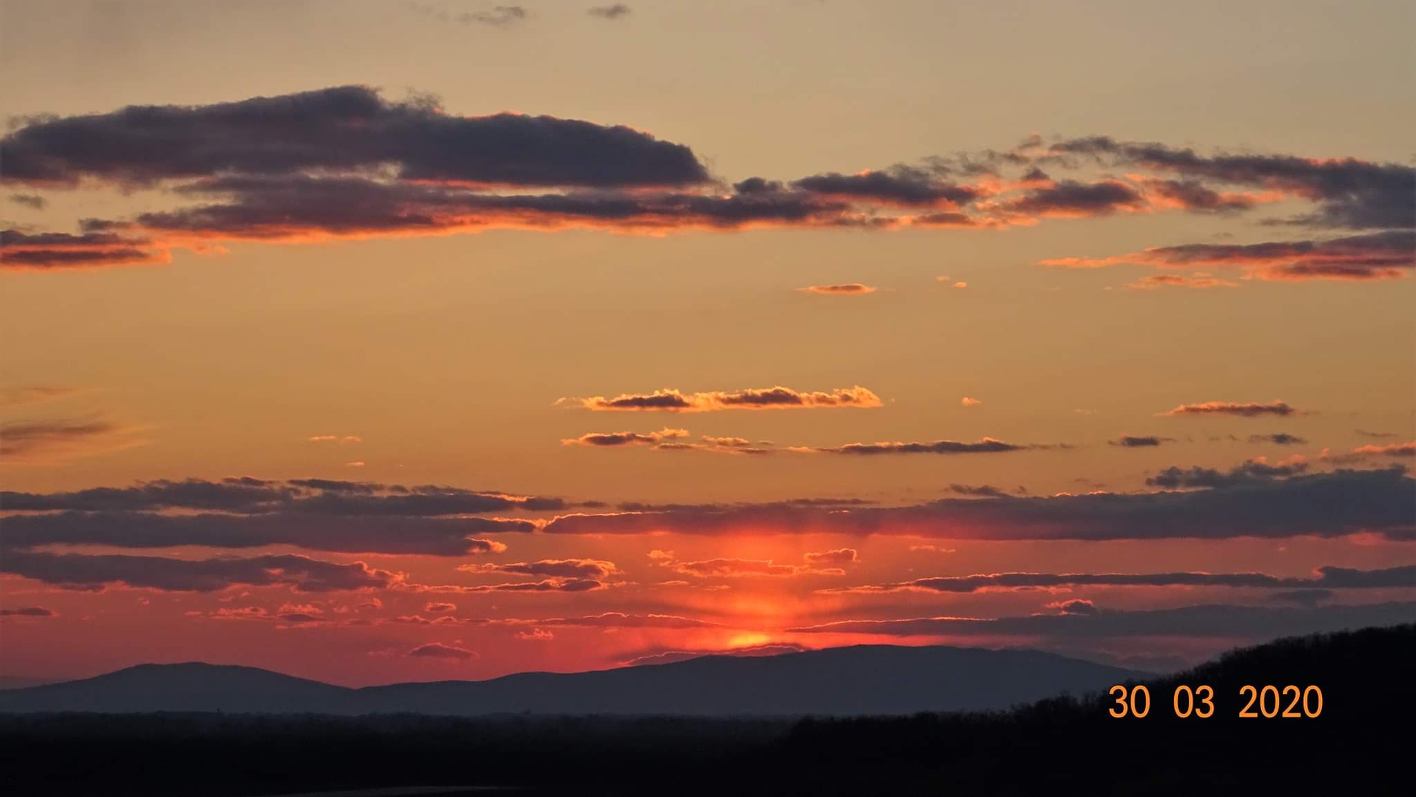 Прости, что только силы не имею...