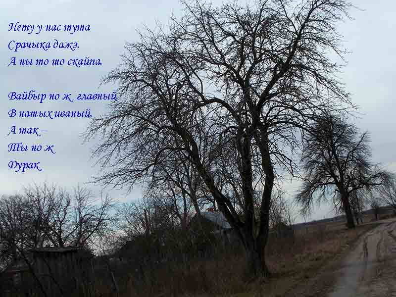 В саВок но в моды ш опэнькы