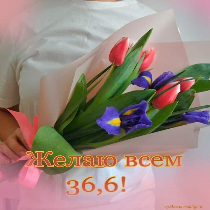 Карантин не беда, а отрада