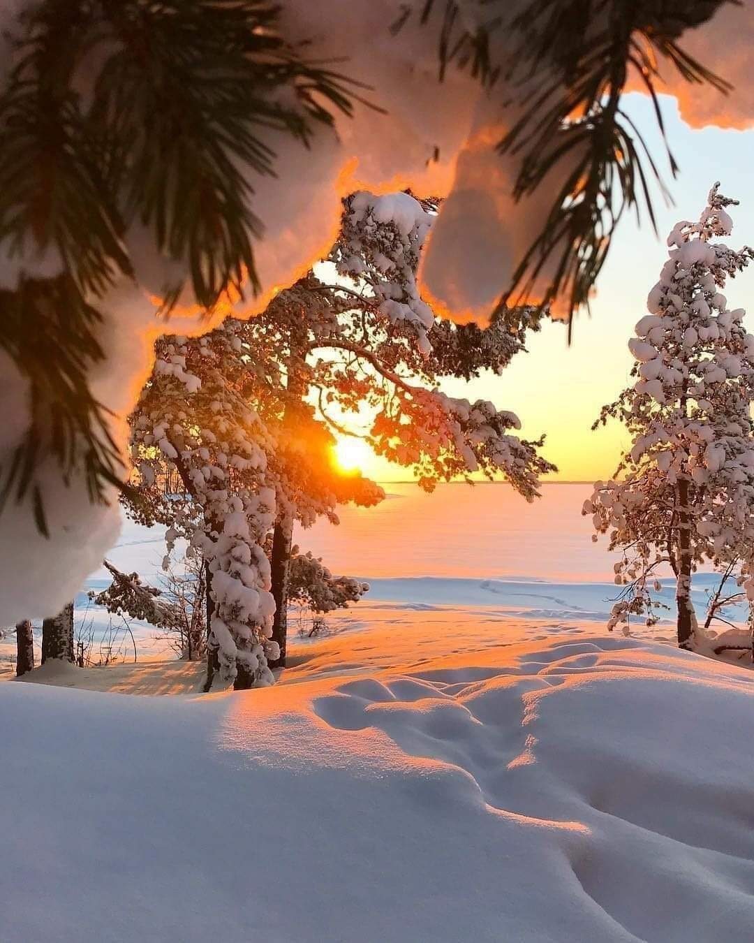 С добрым зимним рассветом. Утро зима. Доброе утро зимние пейзажи с пожеланиями. С добрым зимним рассветом. Зима пейзаж.