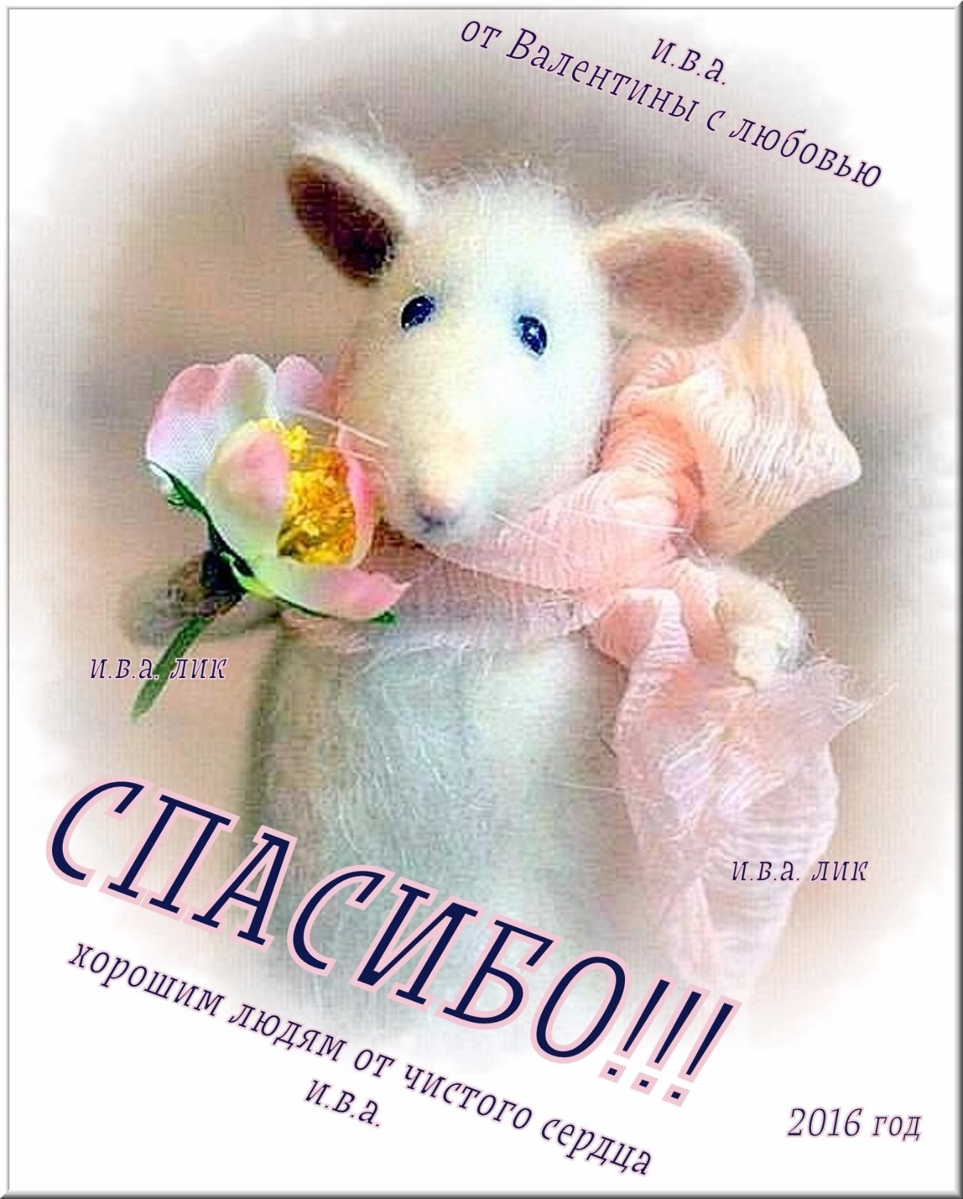 Всемирный день крысы 4 апреля картинки. Всемирный день крысы. Всемирный день крысы поздравления. Всемирный день крысы открытки.