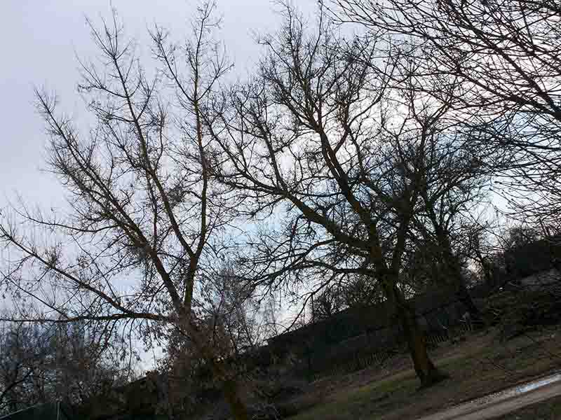 Пiво-воды-сокы в грыпкы!