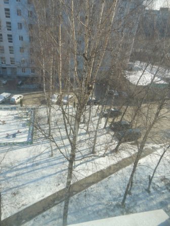 От деревьев на землю падают тени