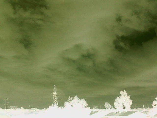 Коронавирусу - респект!..