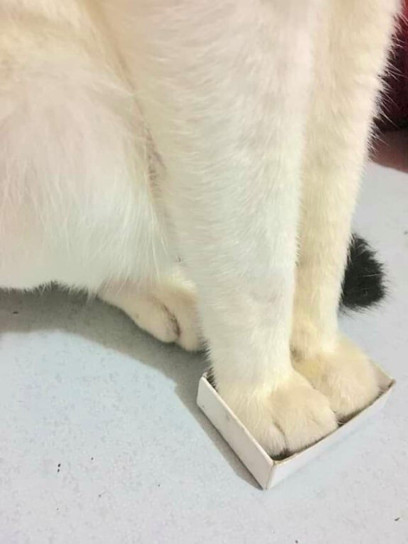 Мой дом - моя крепость!