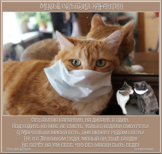 Мусьё объявляет карантин