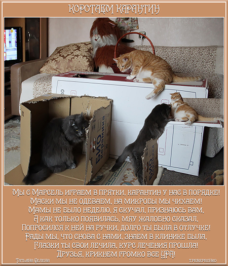 Коротаем карантин