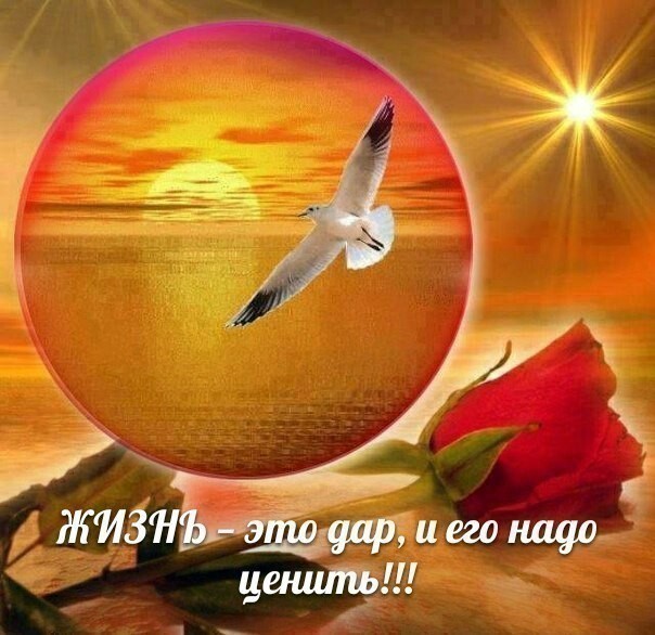 А годы быстро пролетают! (Светлана Патрушева-Чабулова) / Стихи.ру