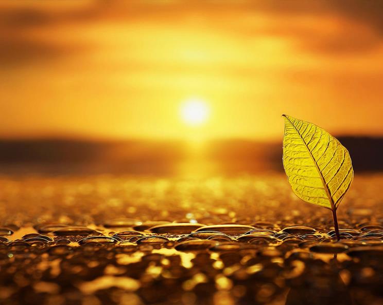 Жизни момент