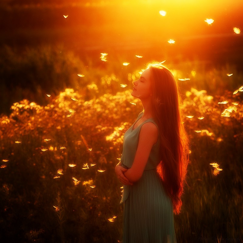 Прости и воссияй Любовью (Инна Хокер) / Стихи.ру